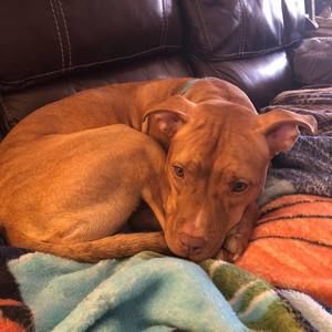 Meet your Posher, Matthew